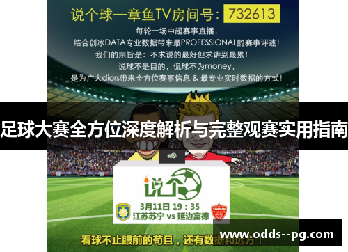 足球大赛全方位深度解析与完整观赛实用指南 足球大赛全方位深度解析与完整观赛实用指南
