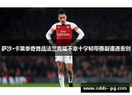 萨沙·卡莱季奇首战法兰克福不幸十字韧带撕裂遭遇重创