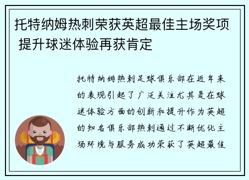 托特纳姆热刺荣获英超最佳主场奖项 提升球迷体验再获肯定